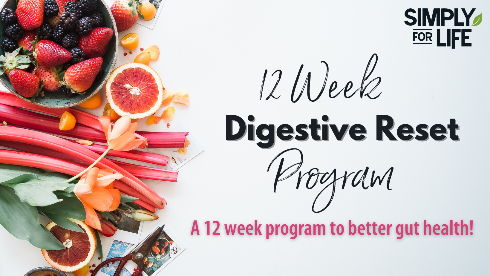 12 Week Digestive Reset Program (Facebook Cover) (1)